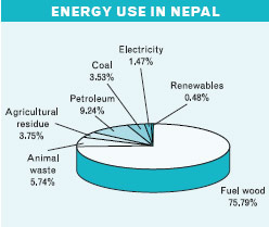 Energy consumption by fuel type, Nepal