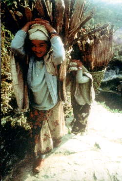Women collecting firewood, Nepal