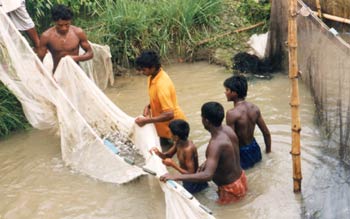 Fishers, Bangladesh