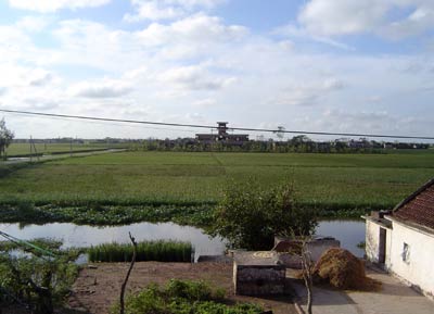 Rice field, Giao Thuy district