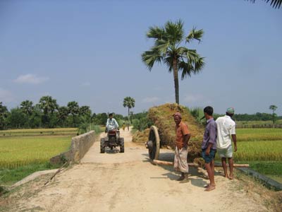 Farming in Bangladesh