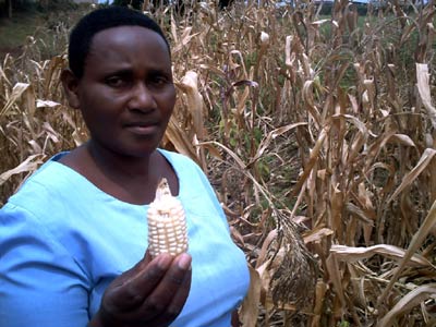 Small-scale farmer in Mubende